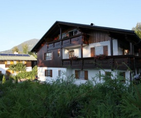 Schlafende Hexe im Buchenwald