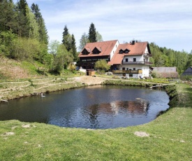 Bright apartment in the Upper Palatinate with large balcony and wood stove