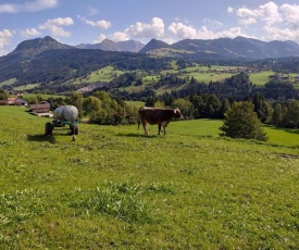 Appartement Alpblick