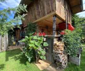 Exclusive eco-friendly alpine hut with countless extras in Asten