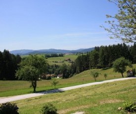 Quaint holiday home in Viechtach with Forest nearby