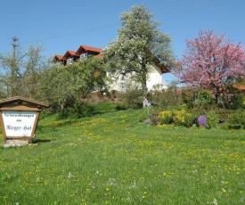 Modern Apartment in Rotthalmunster on Holiday Farm