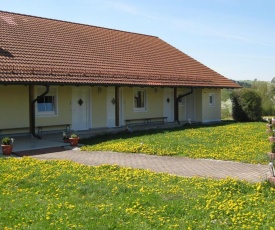 Gracious apartment in RotthalmunsterBavaria,Â with barbecue