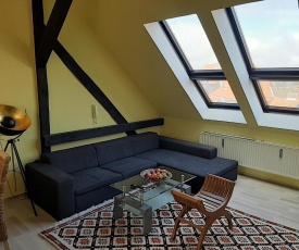 Loft Wohnung Wilhelm