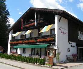 Hotel Garni Haus Alpine