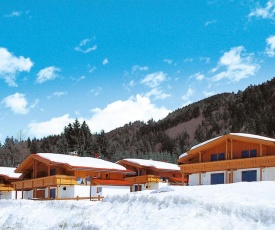 Holiday Home Chalet Walchsee - SHG400