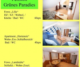 Ferienwohnung Hortensie Pension Grünes Paradies