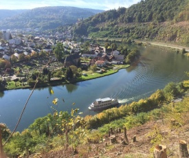 Romantisches Hirschhorn am Neckar