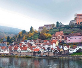 Neckarblick,Natur, Altstadt