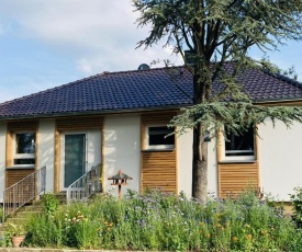 Ferienhaus Urwald