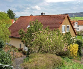 Large detached holiday home in Hesse with private garden and terrace