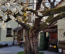 Ferienwohnung Zum-alten-Kirschbaum