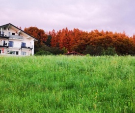 Ferienwohnungen Neukirchen