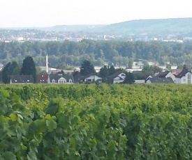 Ferienwohnung Weingut Leis