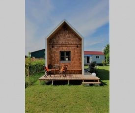 Tiny Loft (Haus) im Südhessischen Ried